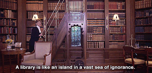 tumblr_ojqnzb35411rgpgw0o2_500_1