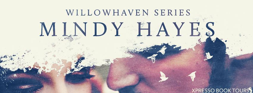 WIllowhavenSeriesRevealBanner