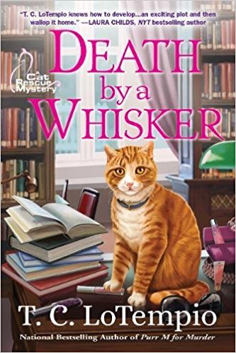 51FWDOh+jFL._SX331_BO1,204,203,200_