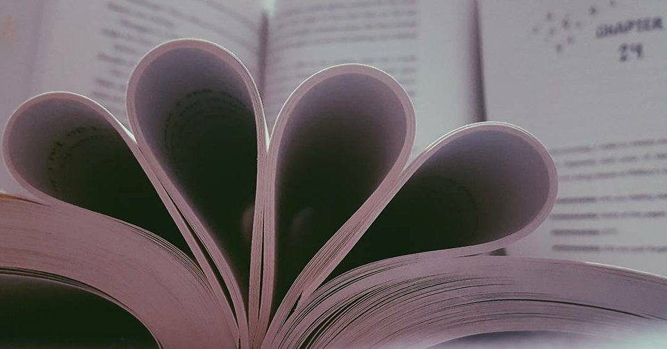 The 2nd Annual Book Blogger&nbsp;Award!