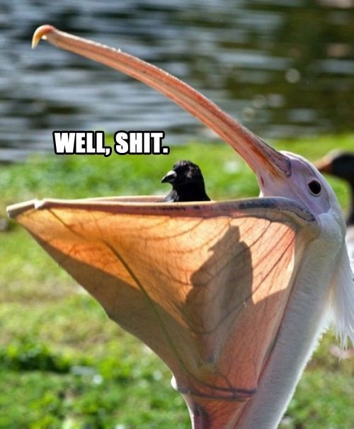 Sometimes When Life Happens, All You Can Say Is “Well&nbsp;Shit..”