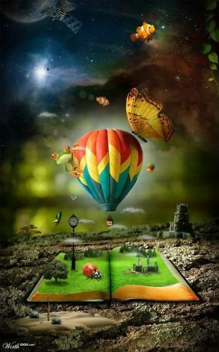 Updated Review of Go Home, Afton!